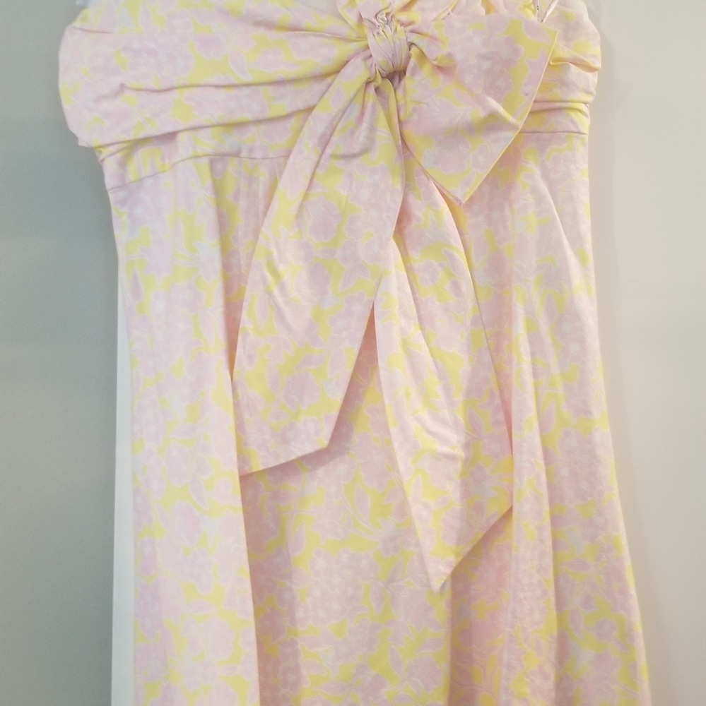 Lily Pulitzer Dress